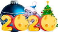 С НОВЫМ ГОДОМ!